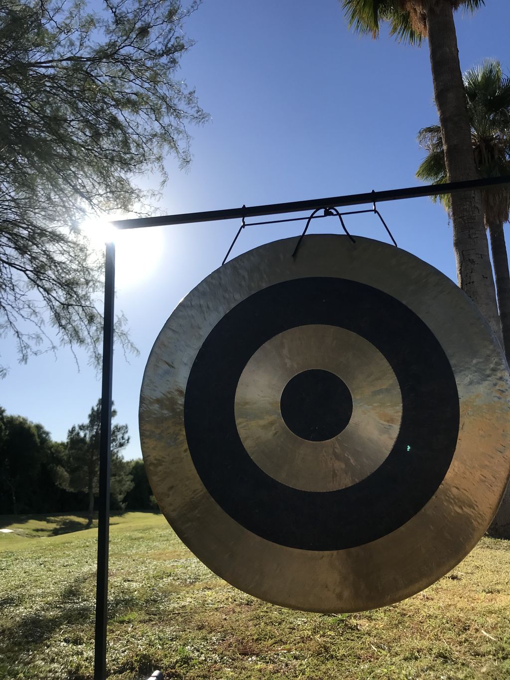  My baby 36” subsonic Chinese gong in the park for