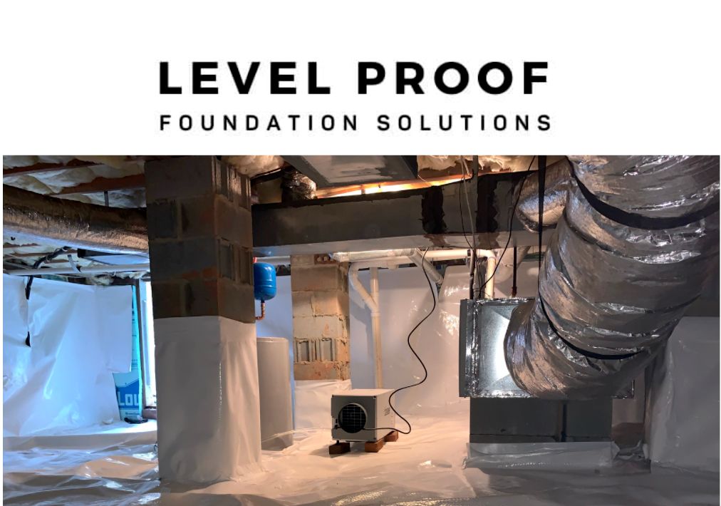 Waterproofing & Dehumidifier 