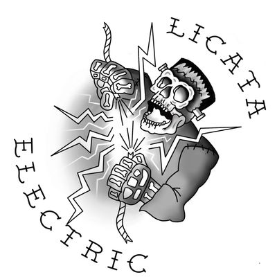 Avatar for Licata Electric Inc.