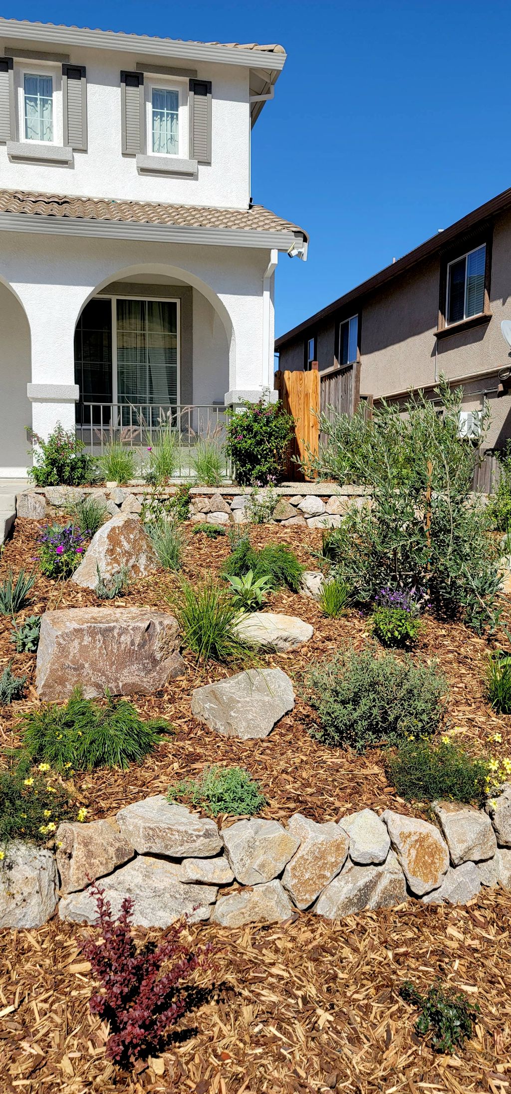 Front yard landscape design and installation 