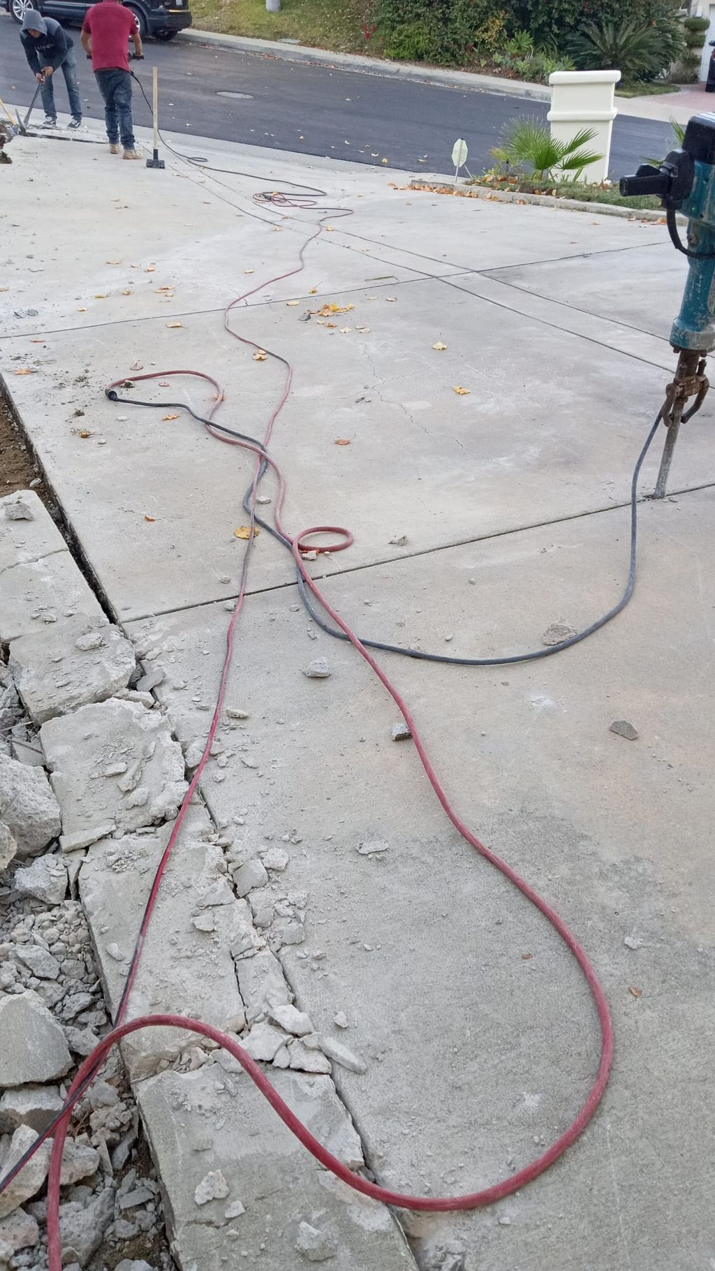 Projects and media