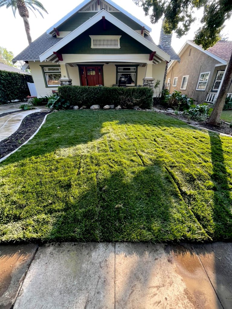 Customer photos
