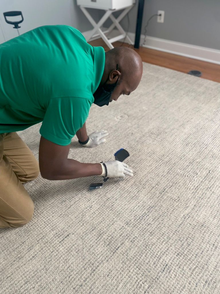 Tech agitating a spot on a customers carpet to ins