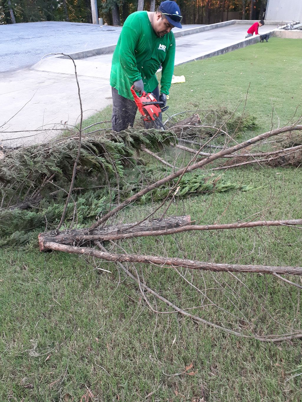 Full Service Lawn Care