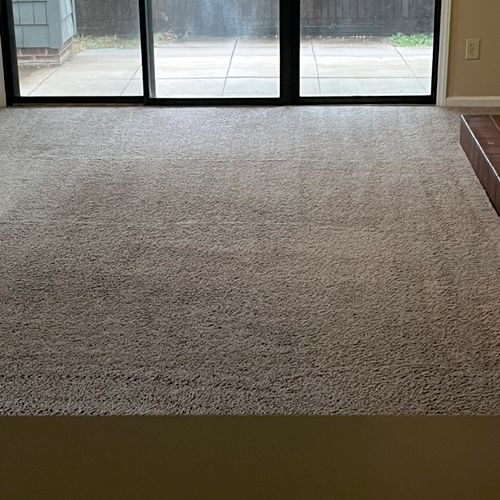 Absolutely amazing! Platinum Carpet cleaning went 