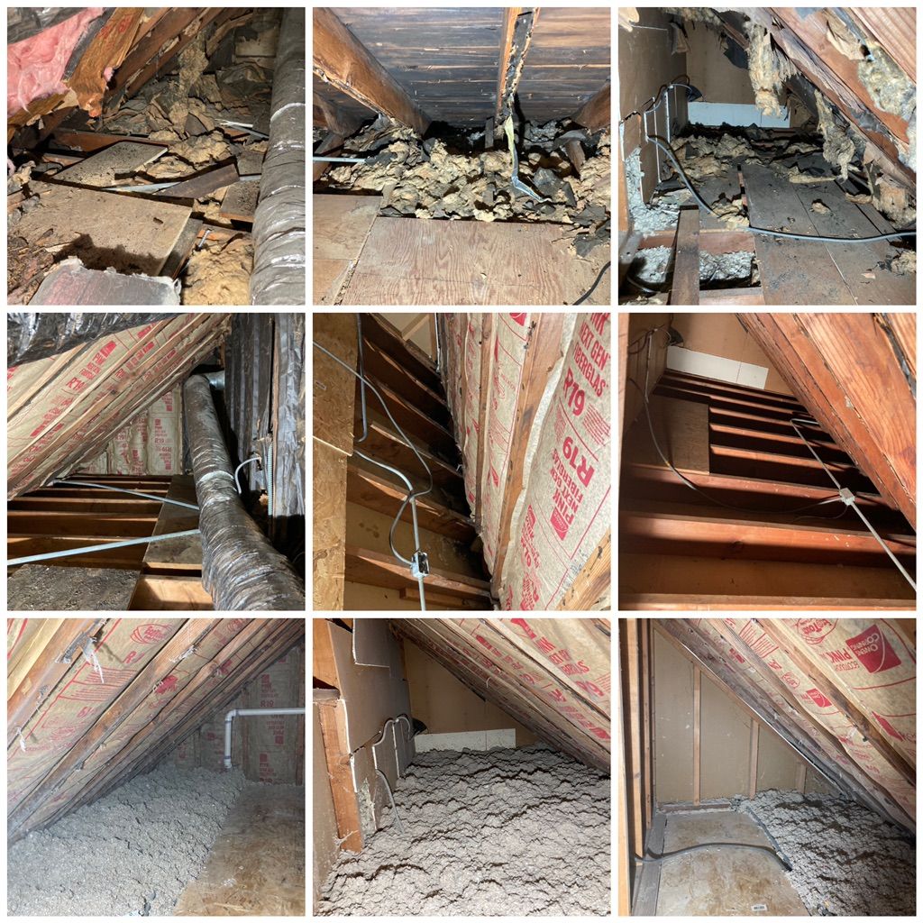 Mouse infestation to attic crawlspaces. Full clean