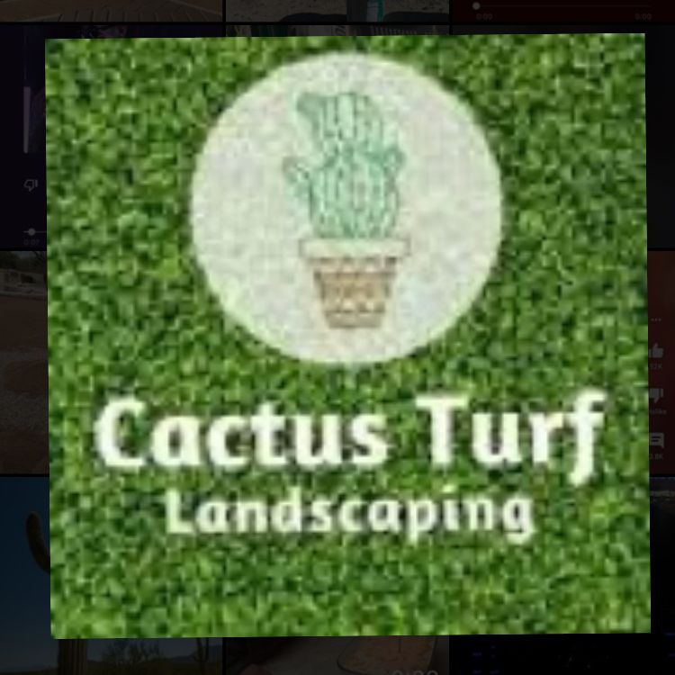 Saguaro Turf Landscape