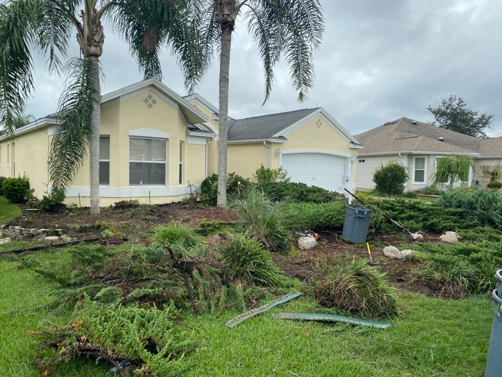 Before - shrub and tree removal 