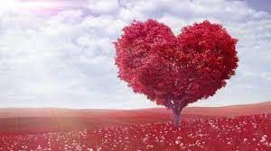 Allow love to enter into your heart space and make