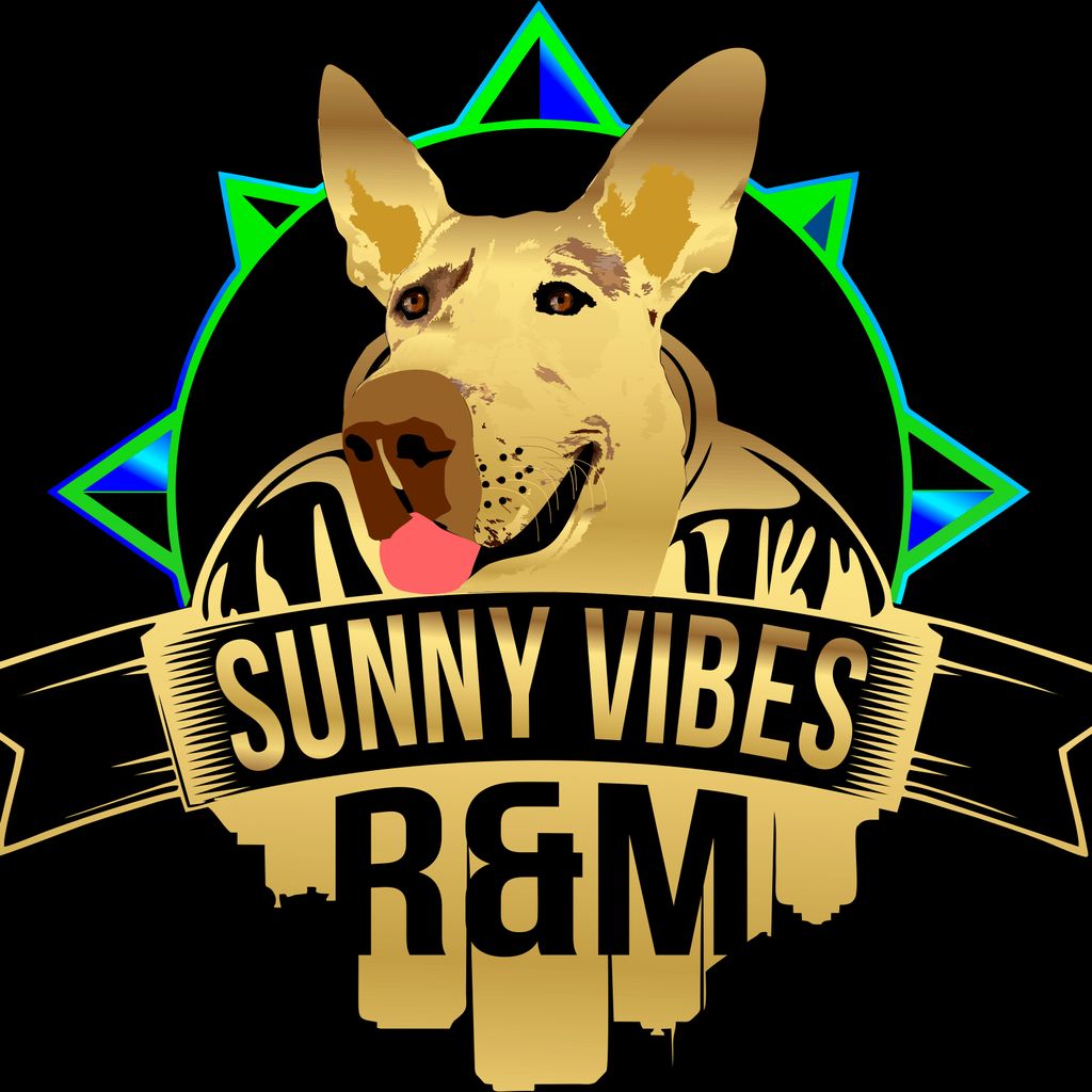 Sunny Vibes R&M LLC