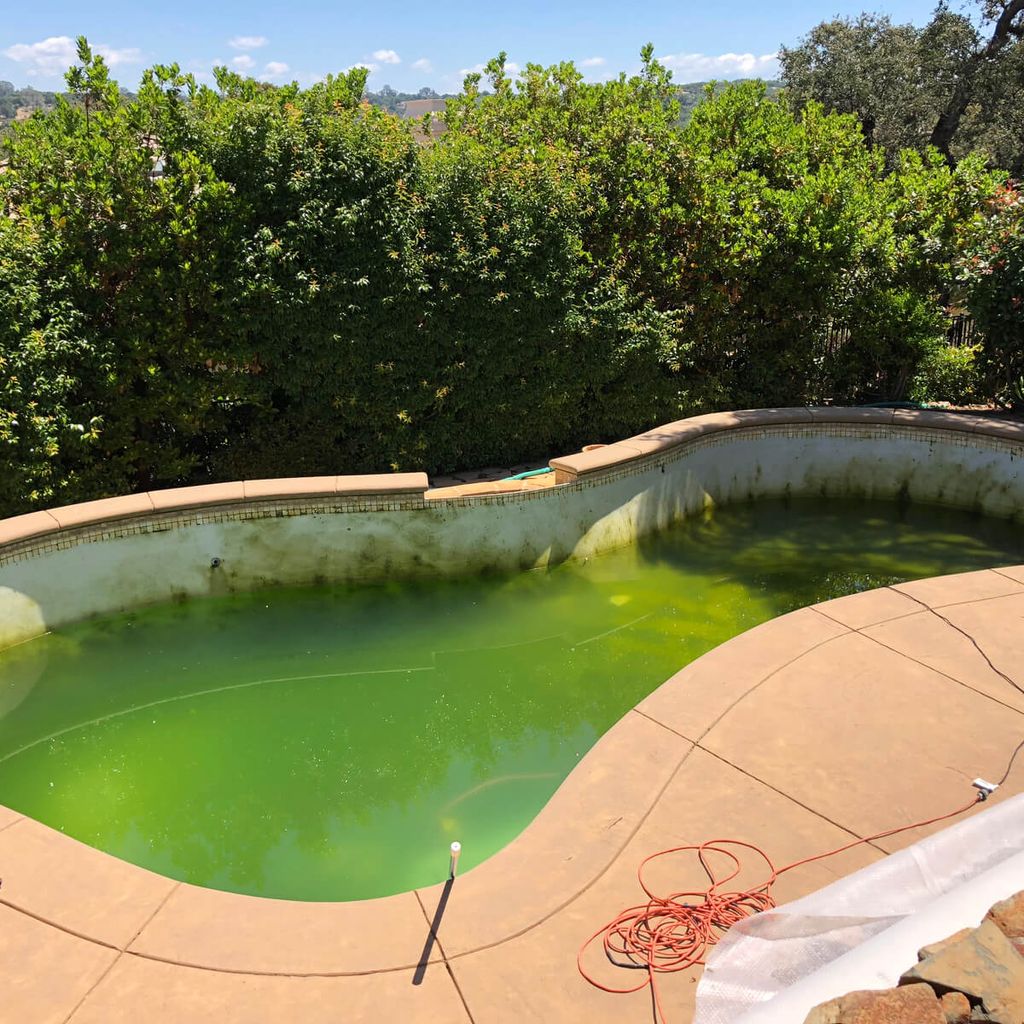 Green Pool Clean-ups