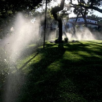 Avatar for R and As Gardening Service
