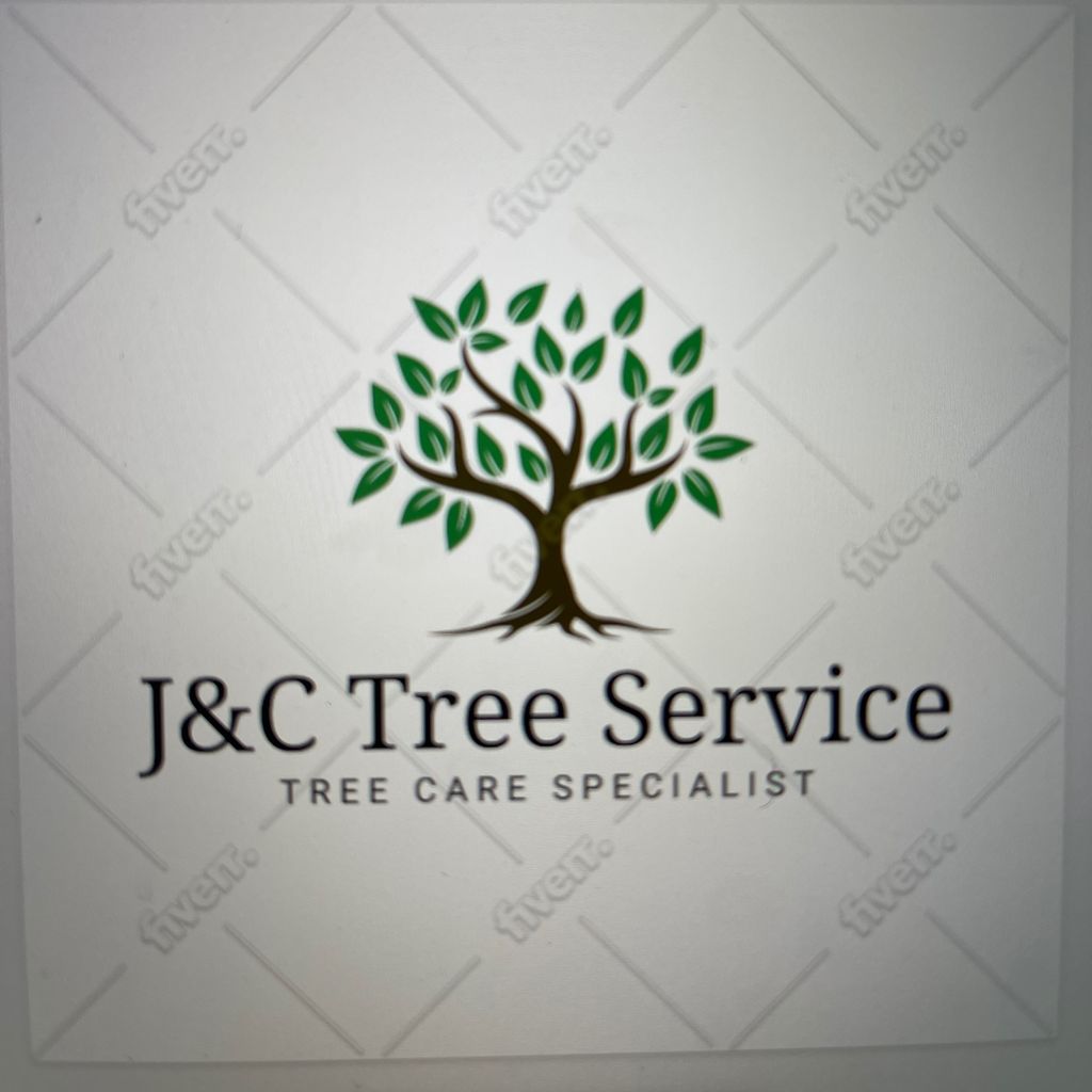 J&C tree service