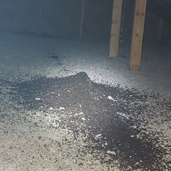Bat guano that was removed and sanitized before re