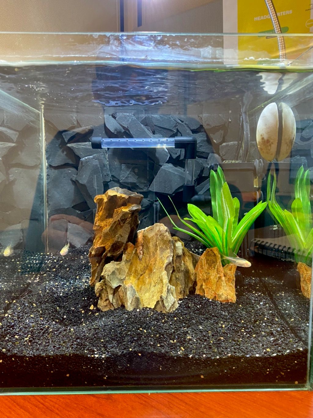 Mini 3 gallon with hand made,custom slate rock bac