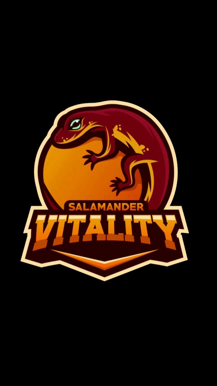 Salamander Vitality Massage & Bodywork 