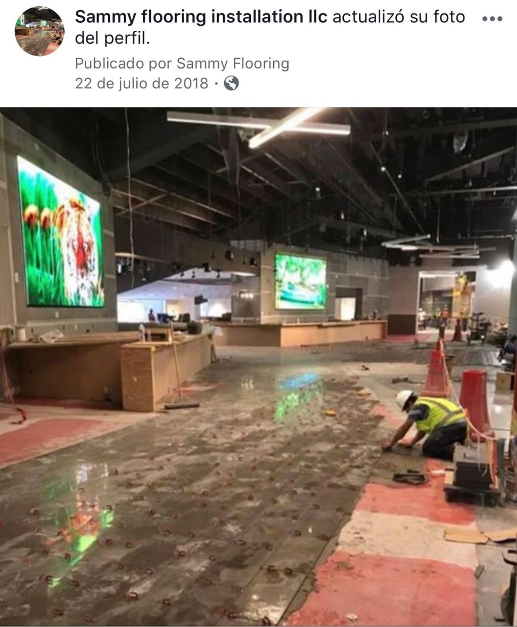 Projects and media