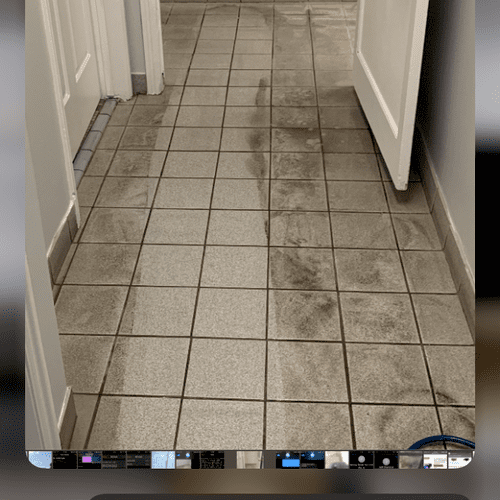 A Spotless Carpet Cleaning Draper, UT Thumbtack