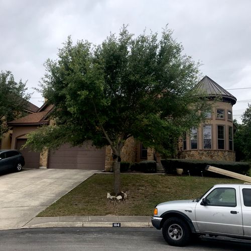 Tree Trimming and Removal