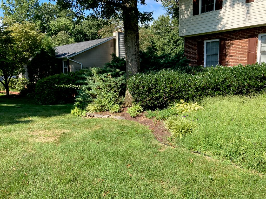 Fence and Gate Repairs