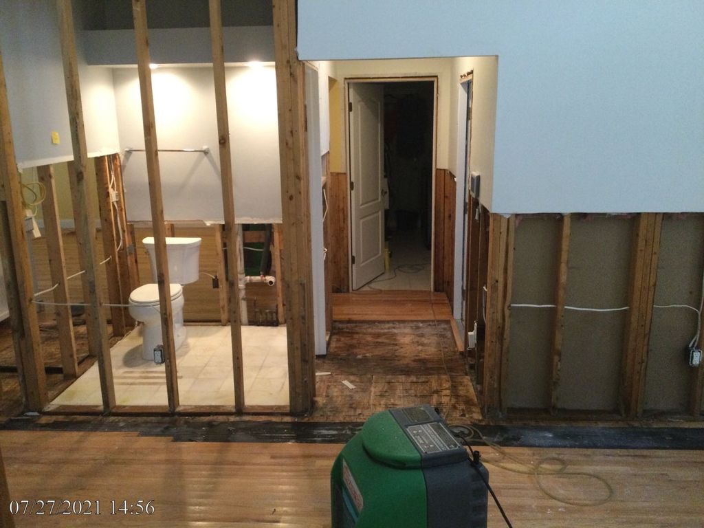 Mold Remediation Project 