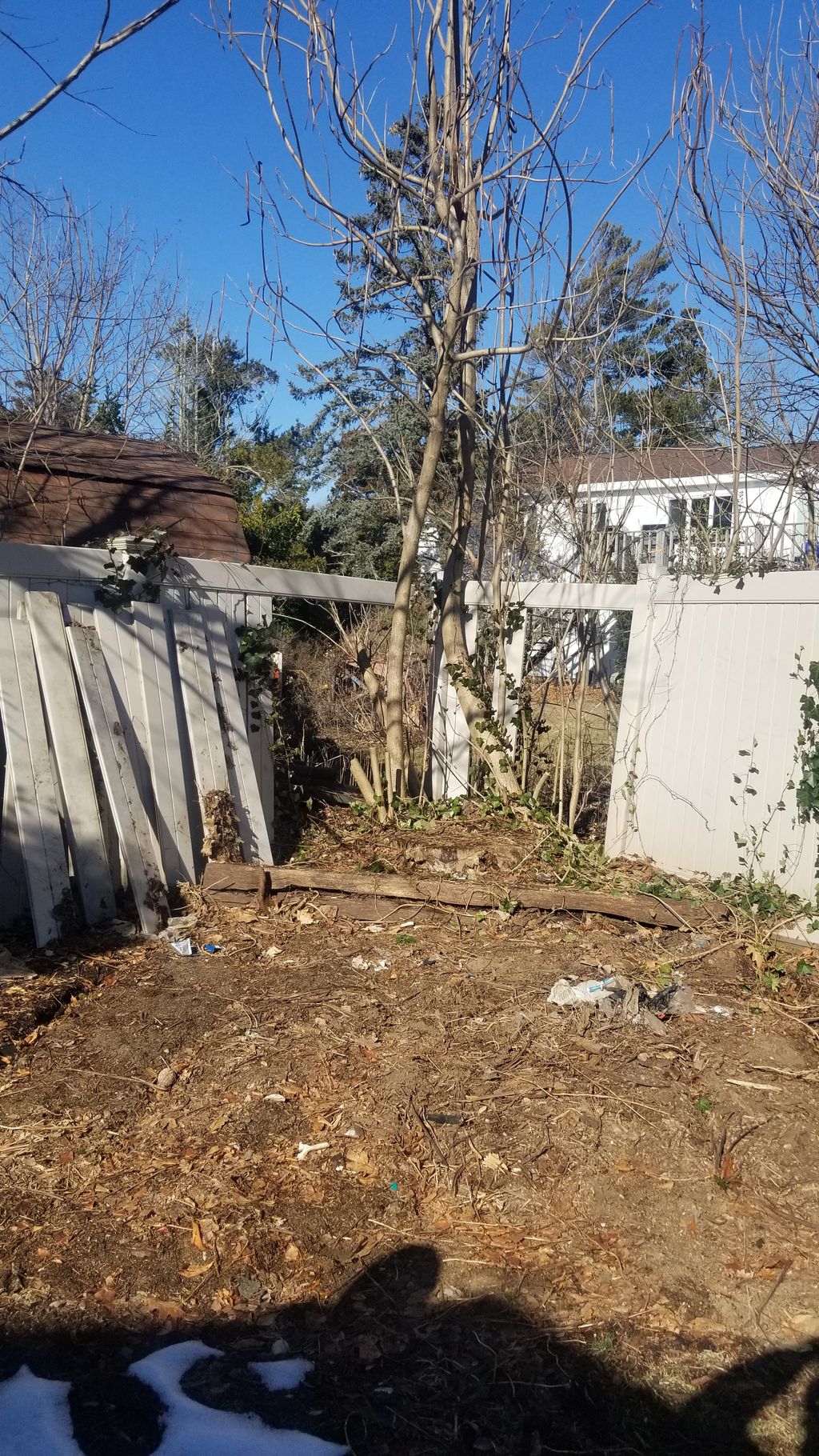 Shrub Trimming and Removal