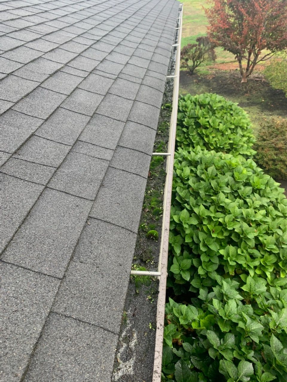 Gutters before