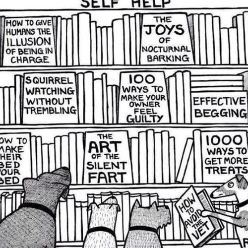 Dog Library