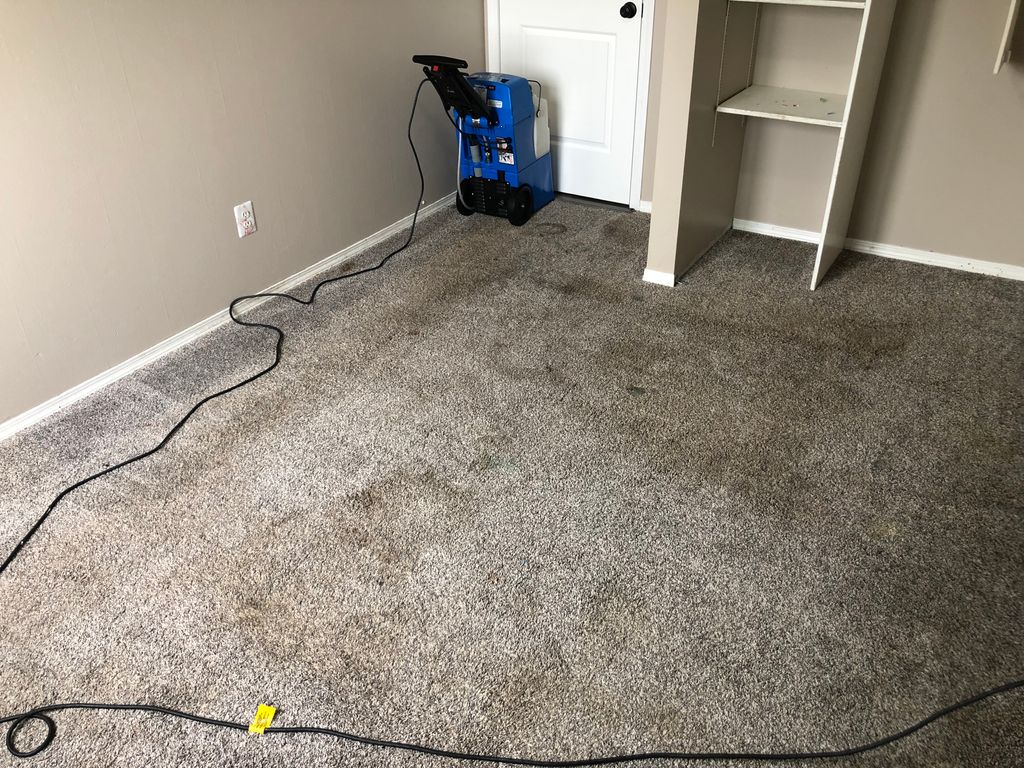 Carpet Cleaning