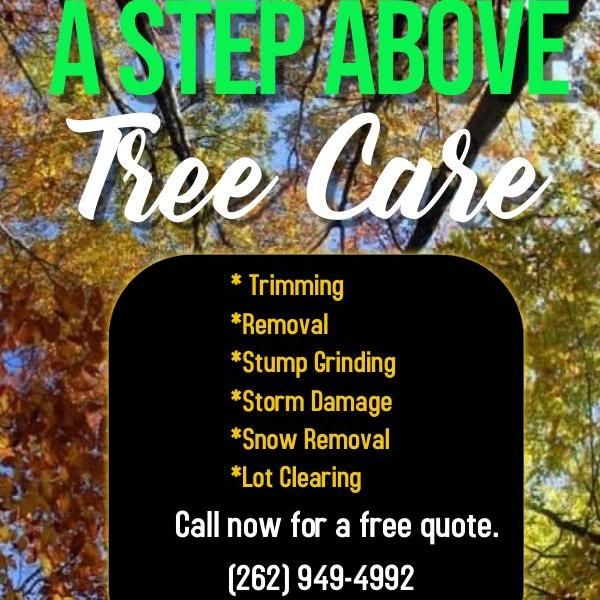 A Step Above Tree Care