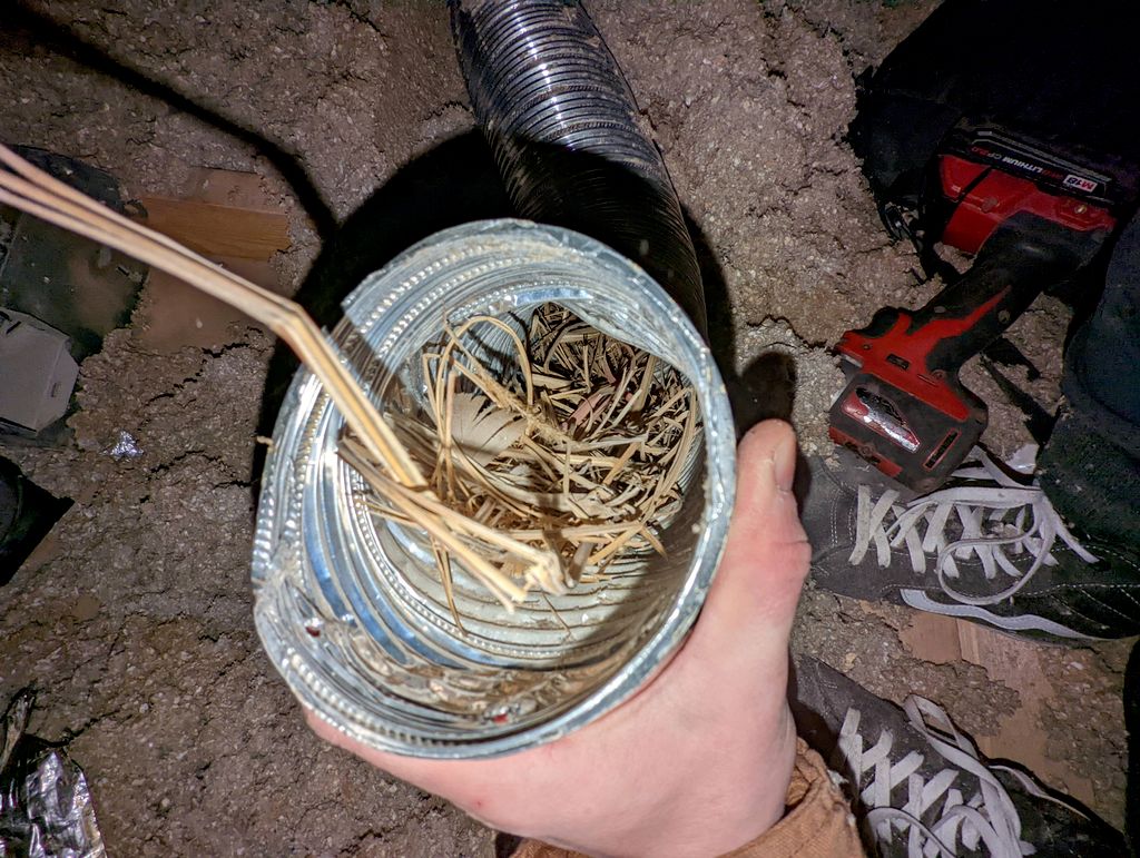 Vent full of nesting material