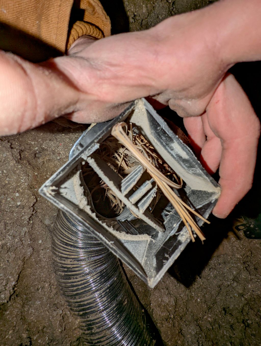 Vent full of nesting material