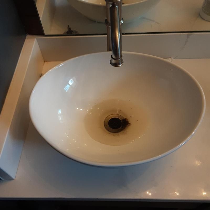 sink clogged 