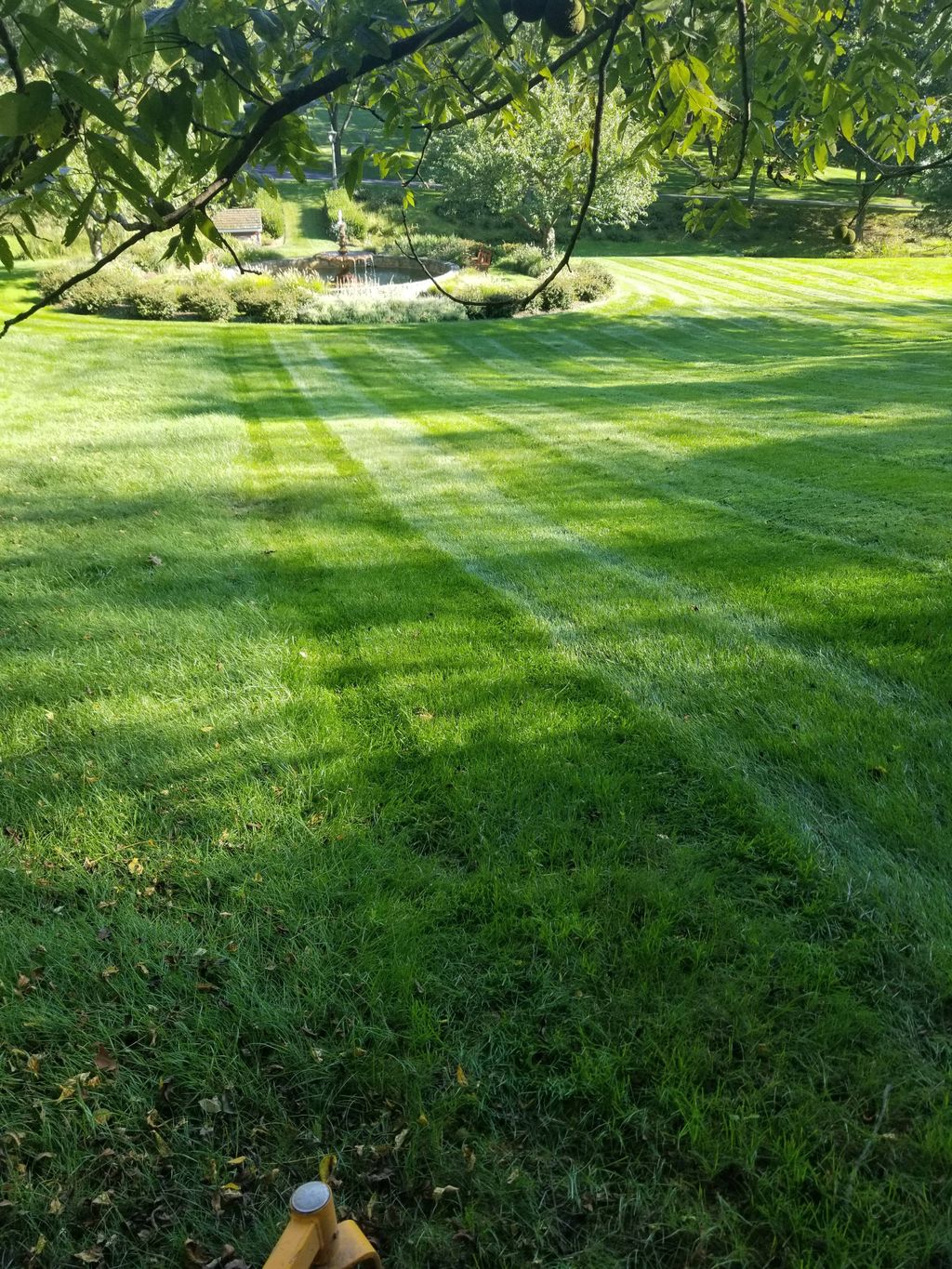 Mowing some stipes