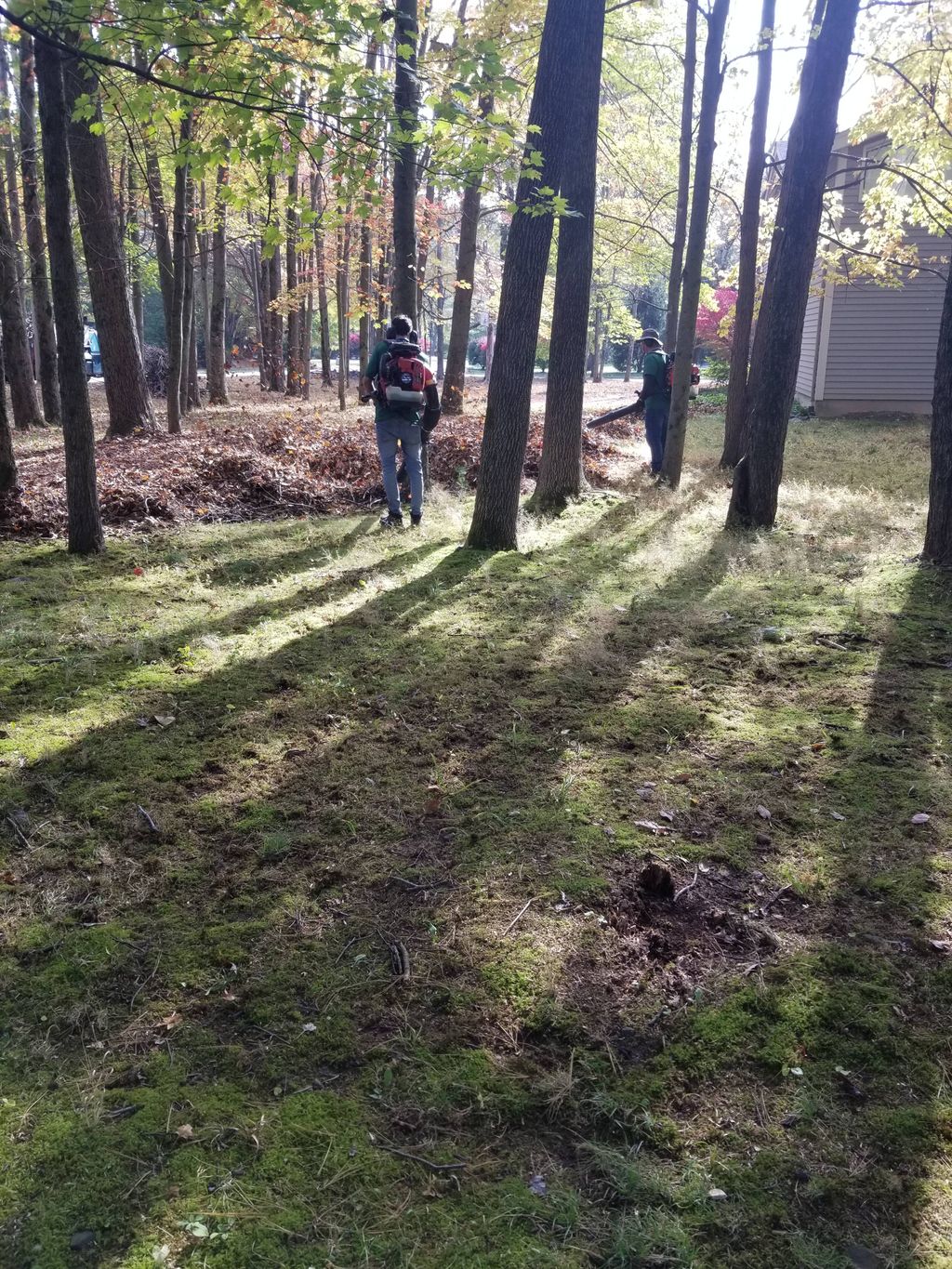 During fall cleanup 