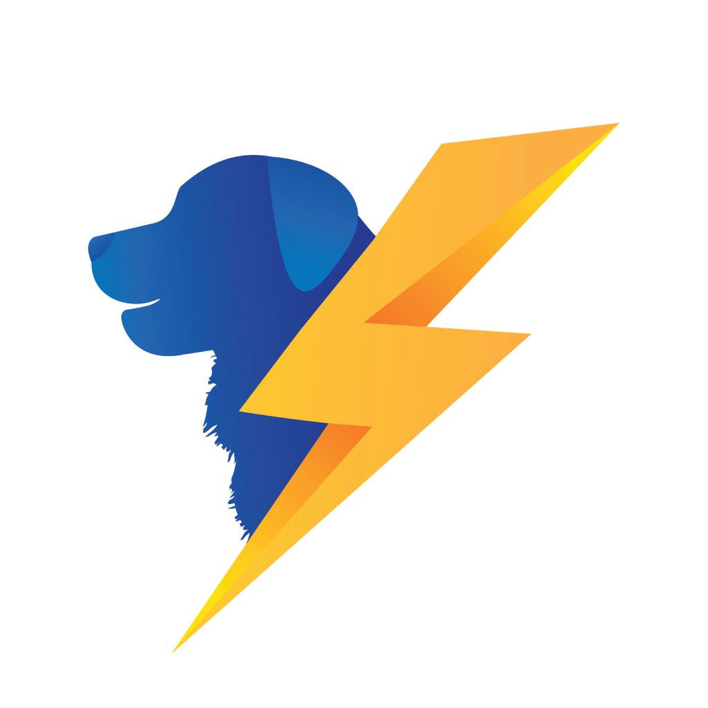 Big Dogs Electric LLC