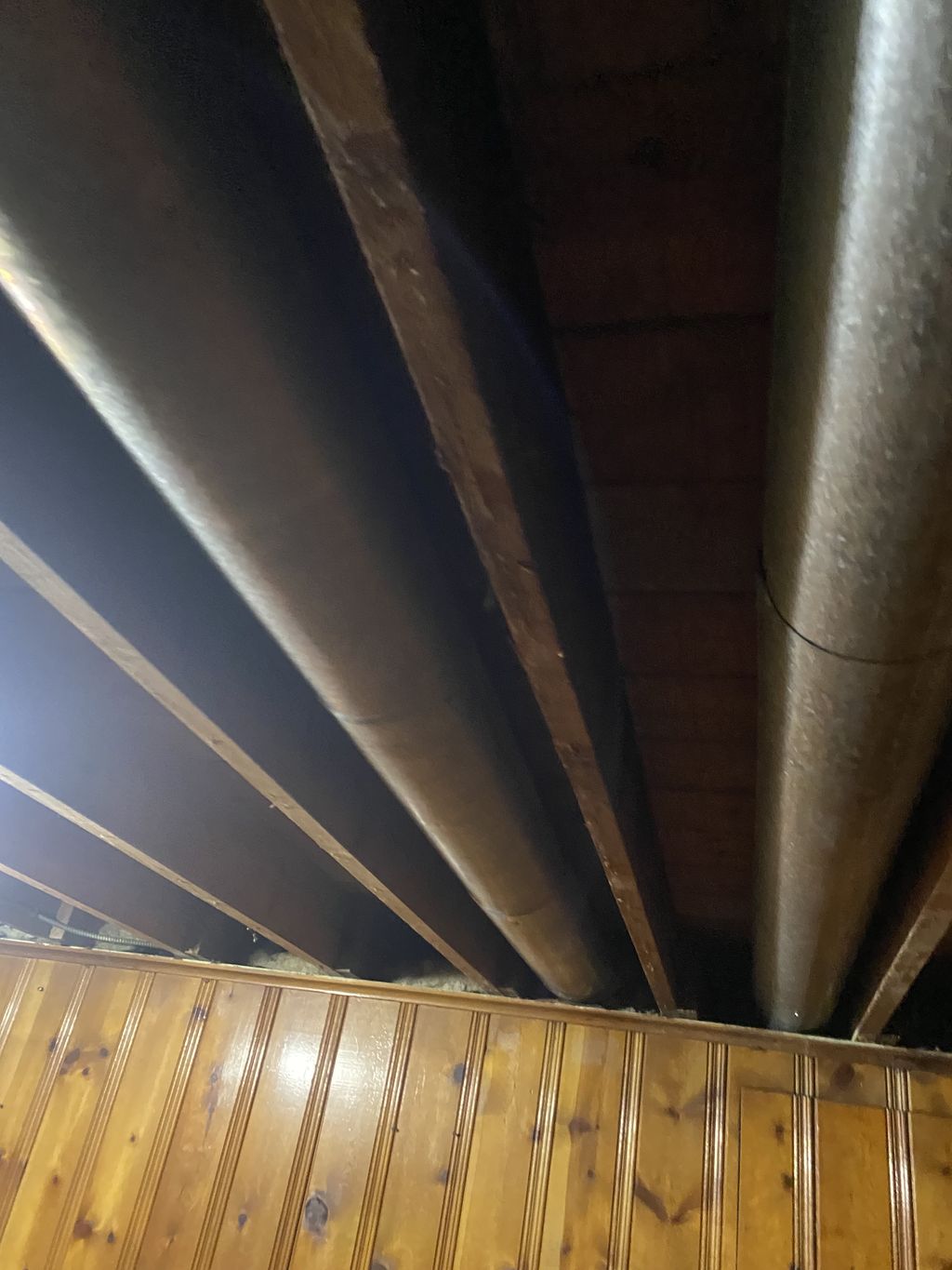 Completed removal of asbestos ceiling tile cont.