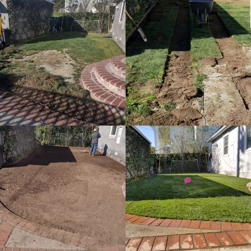 Sod before and after install
