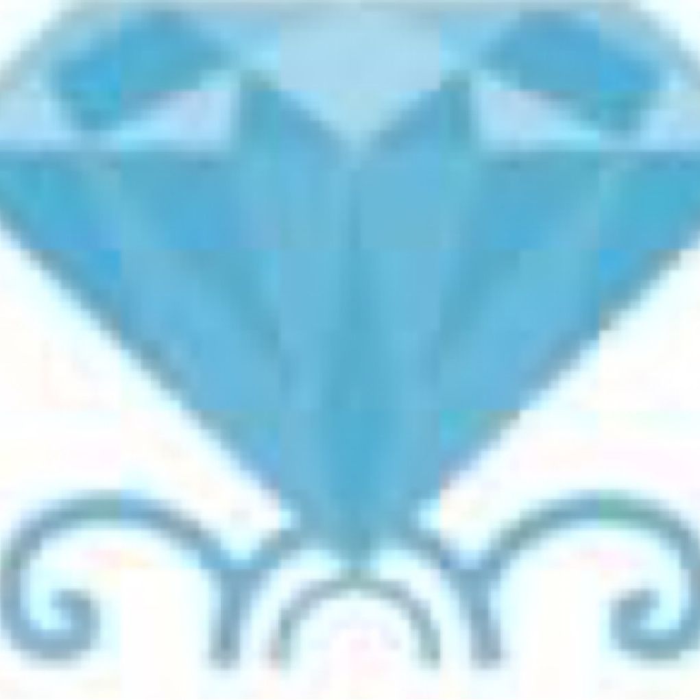 Diamond Shine Cleaning Services LLC