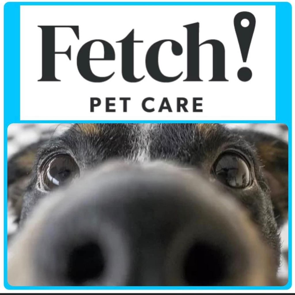 Fetch! Pet Care Flower Mound & Surrounding Areas | Lewisville, TX