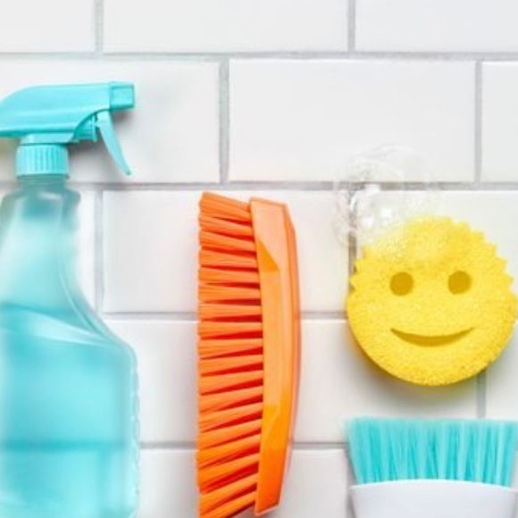 Cleaning Ladys