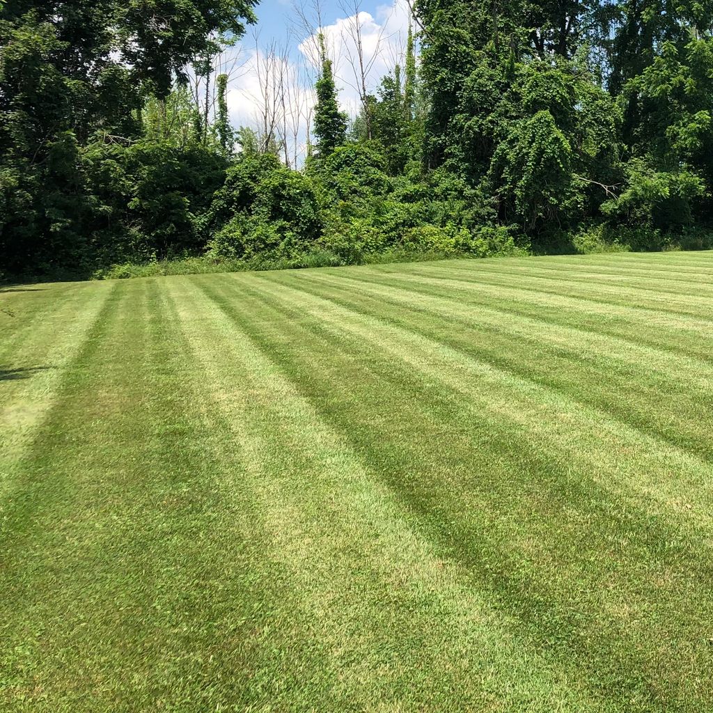 HD CUTS LLC