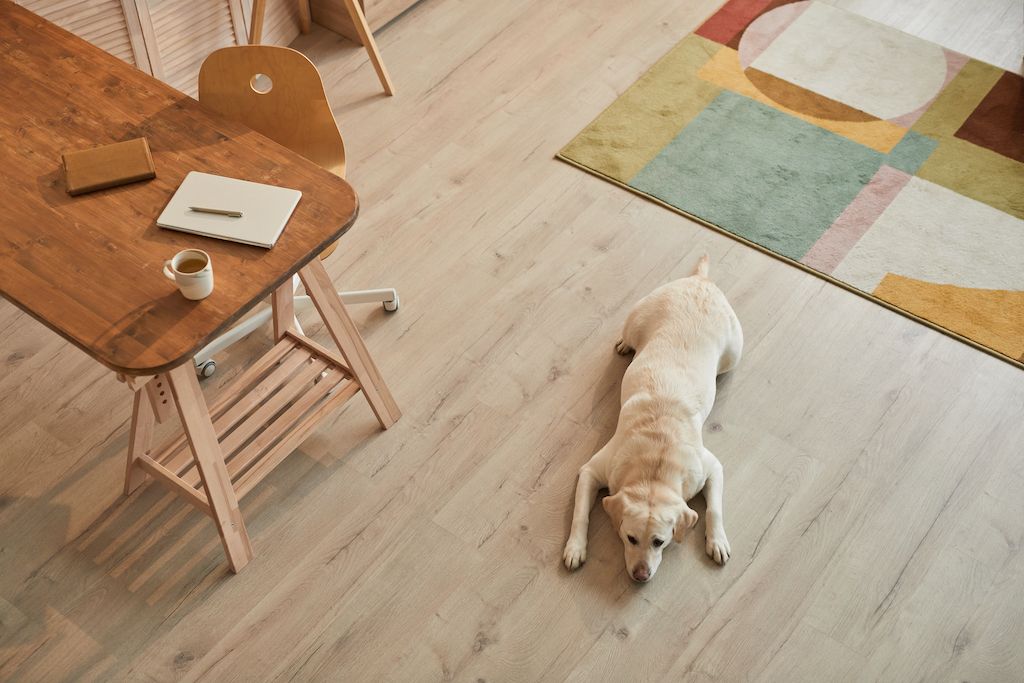 Best Flooring For Dogs Pets, Will Dog Urine Ruin Engineered Hardwood
