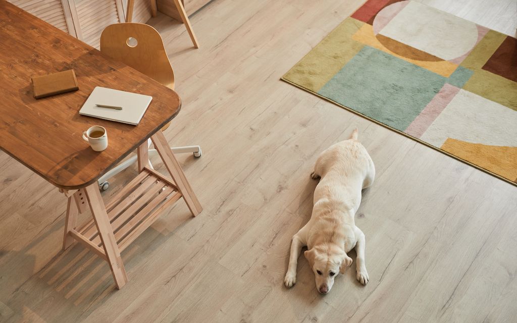 Best flooring for dogs and other pets.