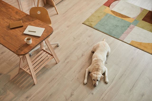 Best Flooring For Dogs Pets, What Kind Of Flooring Is Best For Pets