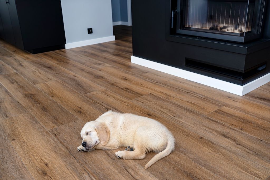 luxury vinyl plank best flooring for dogs