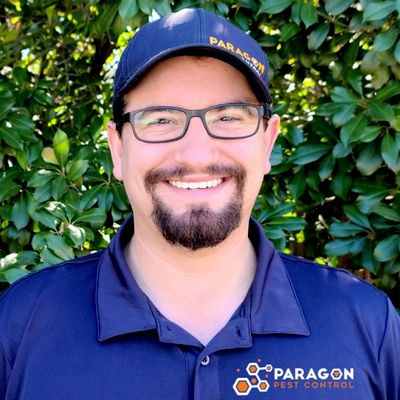 Avatar for Paragon Pest Control