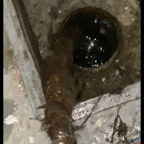 I had problems with the main sewer for WEEKS. I ca