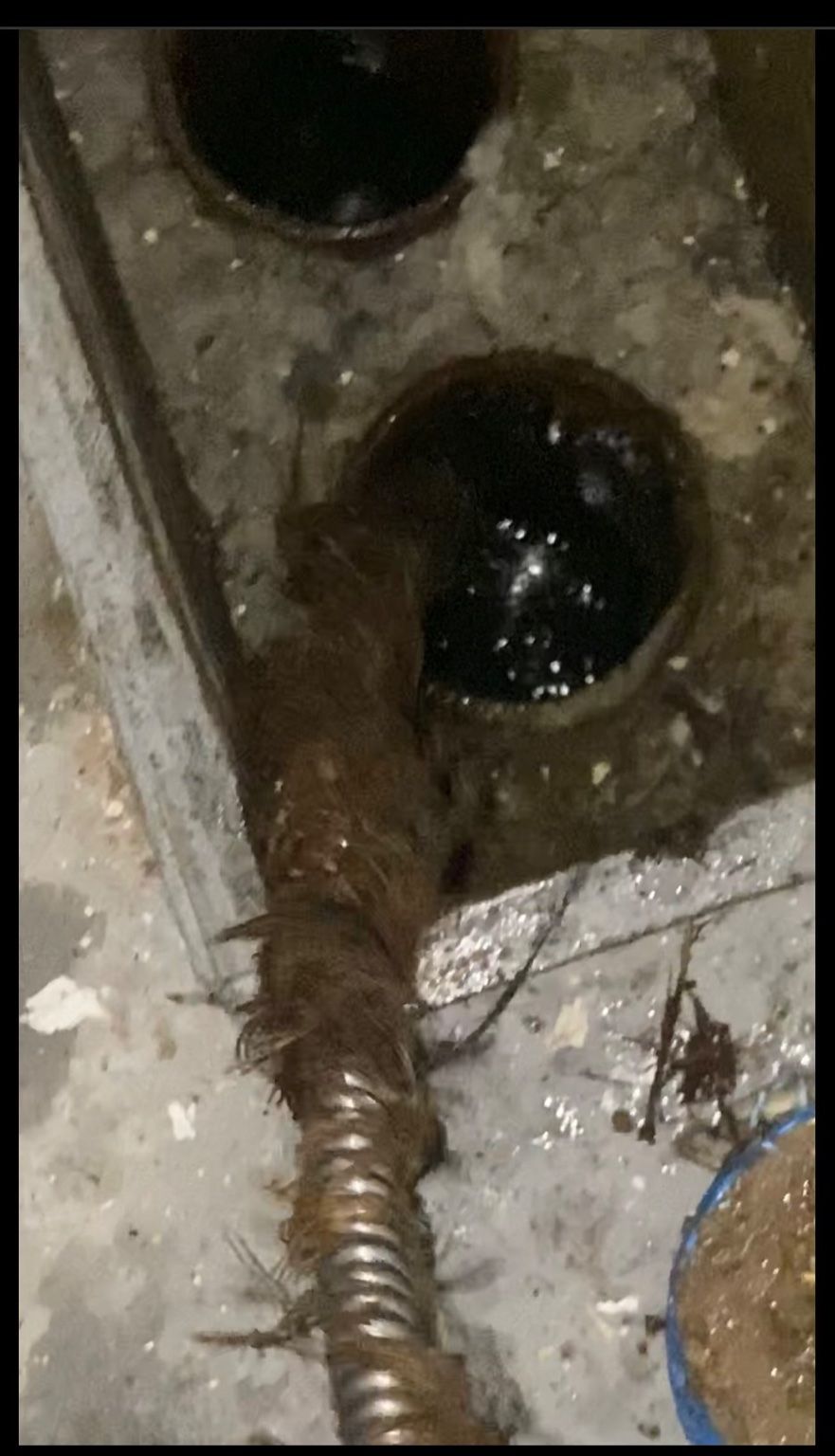 I had problems with the main sewer for WEEKS. I ca