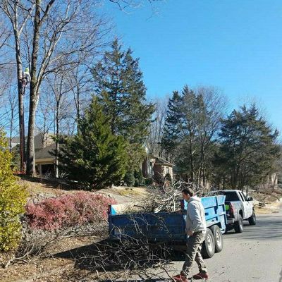 Avatar for Designer Tree & Mulch